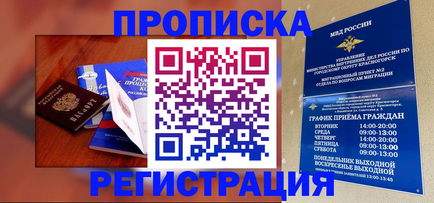 временная регистрация для школы в Заинске